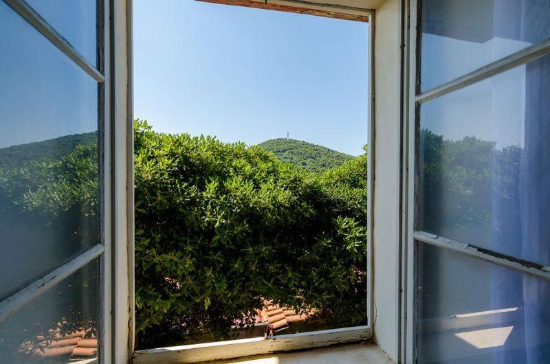 Apartment Pavo Dubrovnik Buitenkant foto